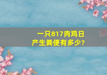 一只817肉鸡日产生粪便有多少?