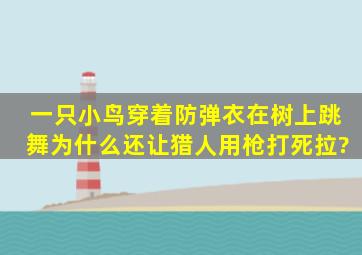 一只小鸟穿着防弹衣在树上跳舞,为什么还让猎人用枪打死拉?