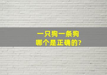 一只狗一条狗哪个是正确的?