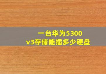 一台华为5300 v3存储能插多少硬盘