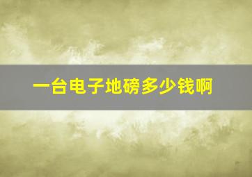 一台电子地磅多少钱啊