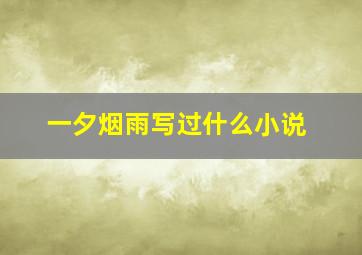 一夕烟雨写过什么小说