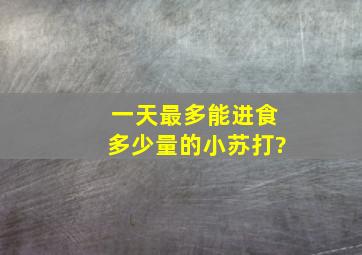 一天最多能进食多少量的小苏打?