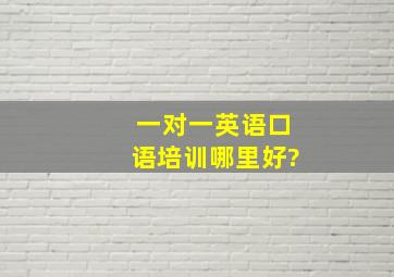 一对一英语口语培训哪里好?