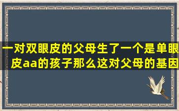 一对双眼皮的父母生了一个是单眼皮(aa)的孩子,那么这对父母的基因...