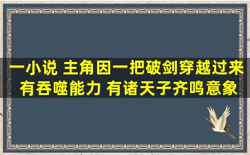 一小说 主角因一把破剑穿越过来 有吞噬能力 有诸天子齐鸣意象 收集...