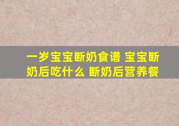 一岁宝宝断奶食谱 宝宝断奶后吃什么 断奶后营养餐