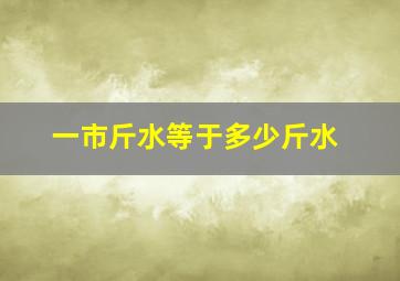 一市斤水等于多少斤水