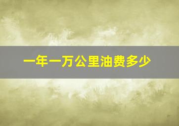 一年一万公里油费多少(