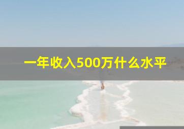 一年收入500万什么水平