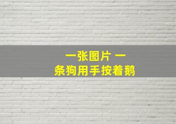 一张图片 一条狗用手按着鹅