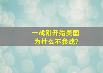 一战刚开始美国为什么不参战?