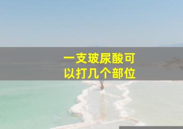 一支玻尿酸可以打几个部位