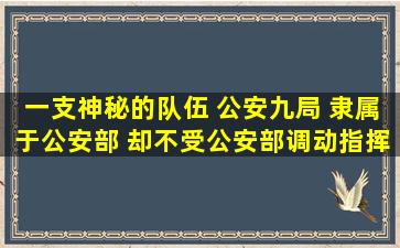 一支神秘的队伍, 公安九局, 隶属于公安部, 却不受公安部调动指挥