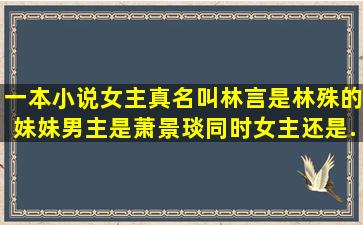 一本小说,女主真名叫林言,是林殊的妹妹,男主是萧景琰,同时女主还是...