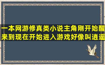 一本网游修真类小说,主角刚开始醒来到现在开始进入游戏,好像叫逍遥