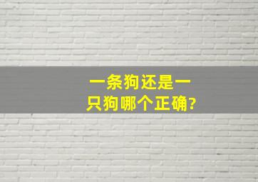 一条狗还是一只狗哪个正确?