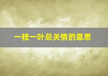 一枝一叶总关情的意思