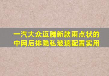 一汽大众迈腾新款,雨点状的中网,后排隐私玻璃,配置实用