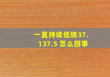 一直持续低烧37.137.5 怎么回事