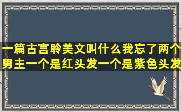 一篇古言聆美文,叫什么我忘了,两个男主一个是红头发,一个是紫色头发,...