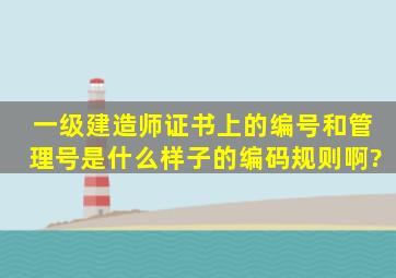 一级建造师证书上的编号和管理号是什么样子的编码规则啊?