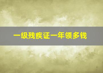 一级残疾证一年领多钱