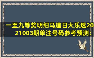 一至九等奖明细马追日大乐透2021003期单注号码参考预测:前区奇偶...