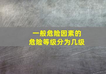 一般危险因素的危险等级分为几级