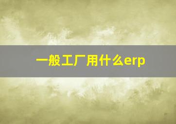 一般工厂用什么erp