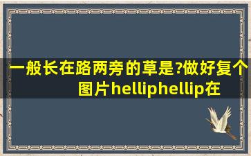 一般长在路两旁的草是?做好复个图片……在线等咯,谢啦