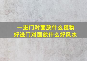 一进门对面放什么植物好,进门对面放什么好风水