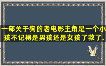 一部关于狗的老电影,主角是一个小孩,不记得是男孩还是女孩了,救了...