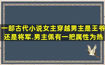 一部古代小说,女主穿越,男主是王爷还是将军.男主佩有一把属性为热的...