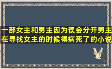 一部女主和男主因为误会分开,男主在寻找女主的时候得病死了的小说