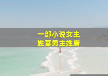 一部小说女主姓夏,男主姓唐