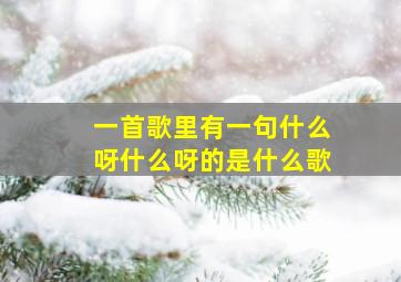 一首歌里有一句什么呀,什么呀的是什么歌