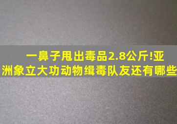 一鼻子甩出毒品2.8公斤!亚洲象立大功,动物缉毒队友还有哪些