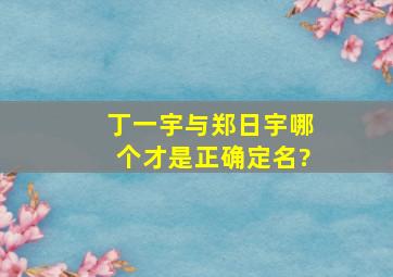 丁一宇与郑日宇,哪个才是正确定名?