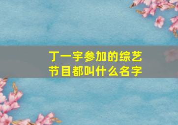 丁一宇参加的综艺节目都叫什么名字