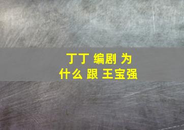 丁丁 编剧 为什么 跟 王宝强