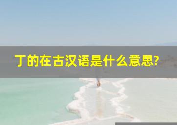 丁的在古汉语是什么意思?