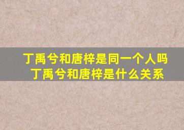 丁禹兮和唐梓是同一个人吗 丁禹兮和唐梓是什么关系