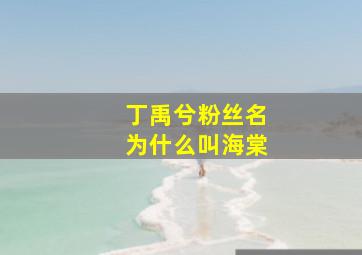 丁禹兮粉丝名为什么叫海棠