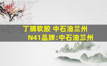 丁腈软胶 中石油兰州 N41品牌:中石油兰州