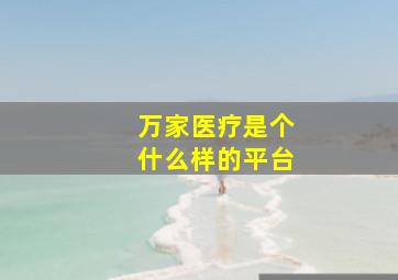 万家医疗是个什么样的平台(