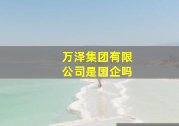 万泽集团有限公司是国企吗