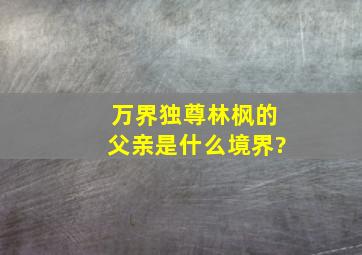 万界独尊林枫的父亲是什么境界?