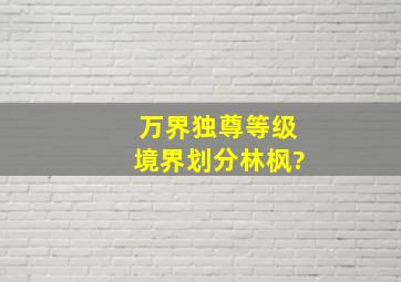 万界独尊等级境界划分林枫?