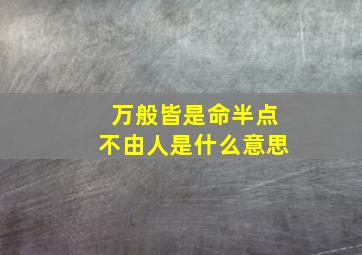 万般皆是命半点不由人是什么意思